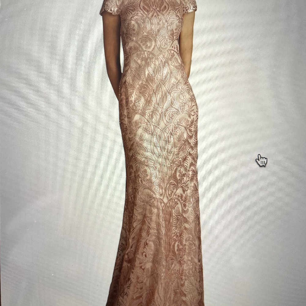 Rose blush sequined column gown - Never Worn